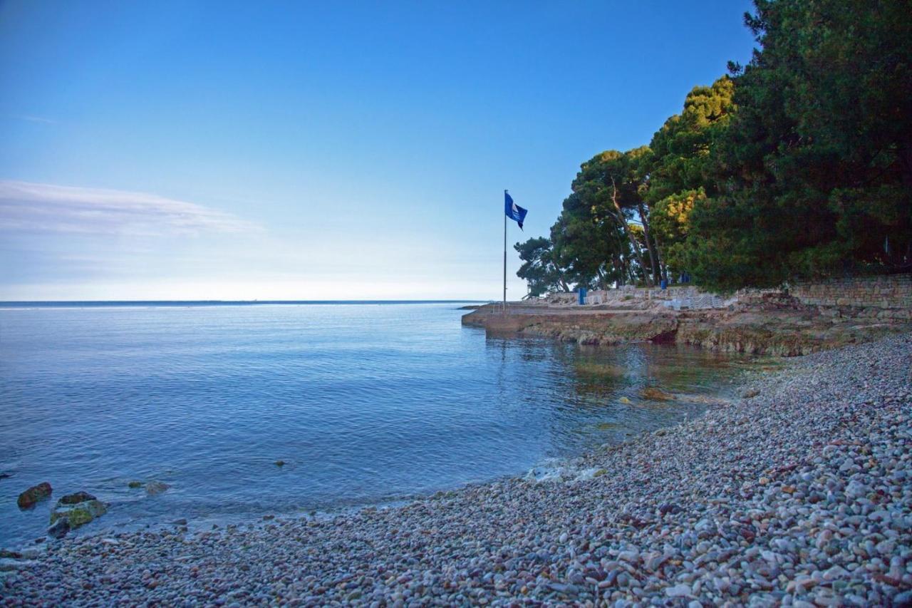 Apartments Zrnic Poreč Zewnętrze zdjęcie
